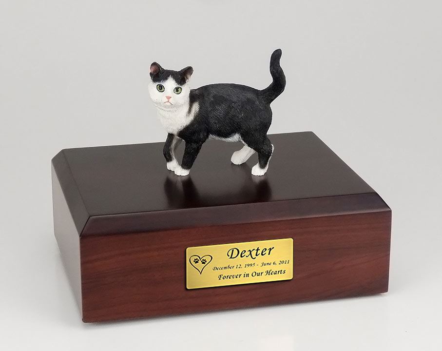 If my cat was 10lbs what size urn