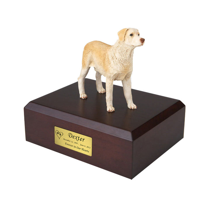 Yellow Labrador Dog Urn - 151 Questions & Answers
