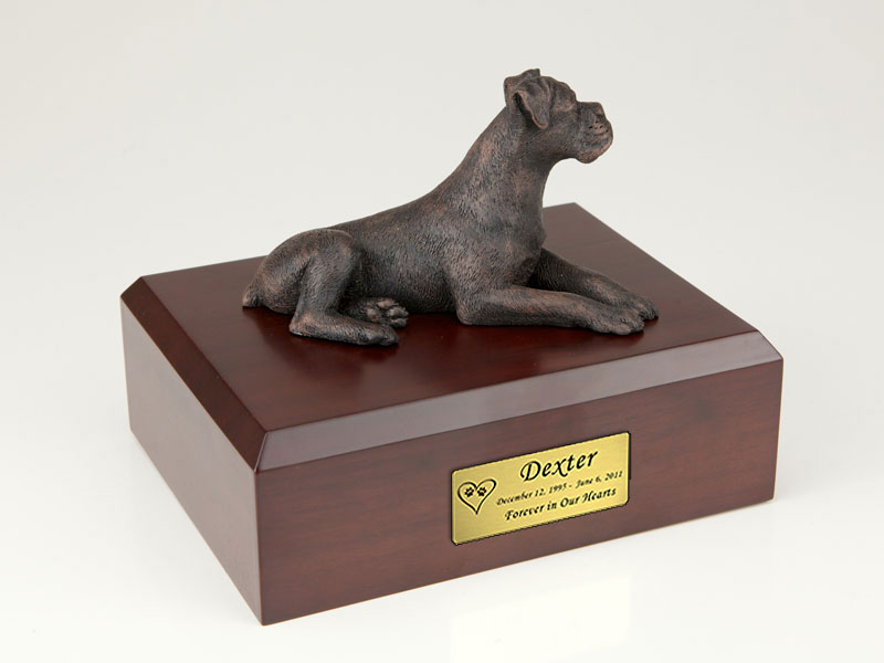 Bronze Boxer Dog Urn - 414 Questions & Answers