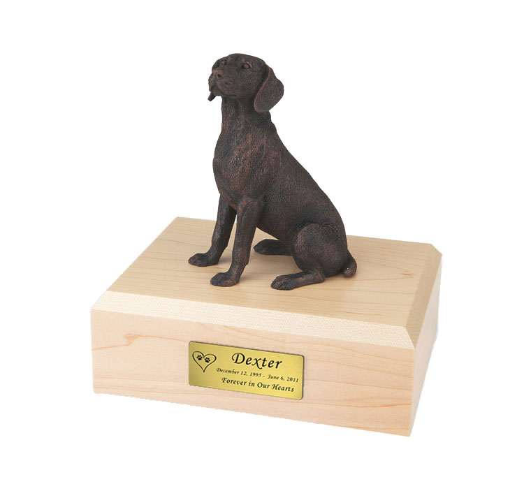 Bronze Weimaraner Dog Urn - 462 Questions & Answers