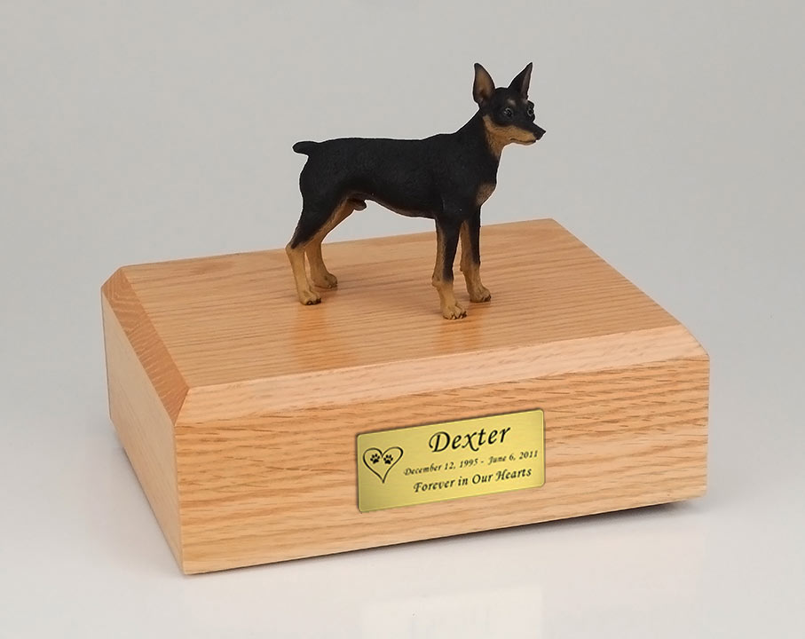 Miniature Pincher Dog Urn - 779 Questions & Answers
