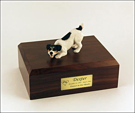 Black Jack Russell Terrier Dog Urn - 337 Questions & Answers
